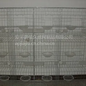 ������ֳ������������ֳ�� ����������ʮ��λ ��ƽ�Ѿ���ֳ������