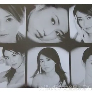 ��Ӧ�н��ⷢ������ �����ص�ӹ�