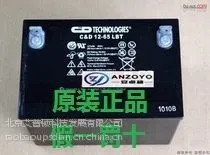 大力神(西恩迪)蓄电池 C-D12-54LBT 12V54AH