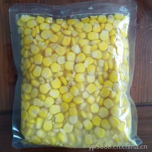 ���Ҷ��Ƹ��������������װ��