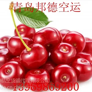 供应青岛到成都、重庆、长沙、昆明、广州、汕头、深圳水果空运当天到