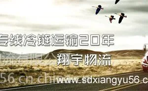 ��Ӧ���յ�����������������13173146978��
