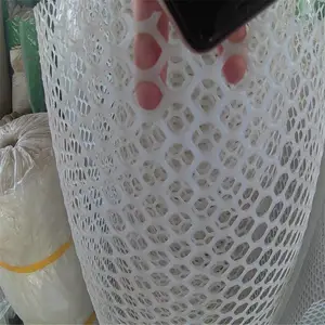 ����ɸ�� ������ ������դ