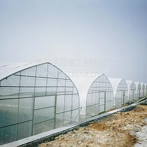 单体大棚 塑料薄膜温室 安全稳定 实用性高 蔬菜瓜果种植拱棚