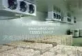 供应济南润***冷-食品保鲜库/物流冷库