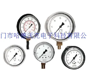NOSHOKŬФ�˻�еѹ����25-310-300psi-1/4-NPT(��������)