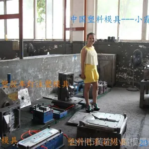 塑料车框模具公司 注塑护杠模具公司 黄岩模具城电话