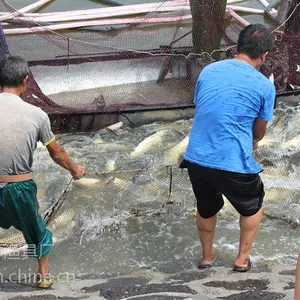 ***产品捕鱼网具气动式抬网厂家直销