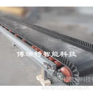 供应皮带秤厂家 精度高的皮带秤