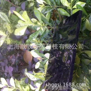 供应德国拜耳黑色pc板，聚碳酸酯黑色耐力板，黑色pc板销售图