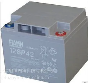 ***蓄电池12SP42 ***蓄电池12V42AH FIAMM蓄电池 铅酸蓄电池