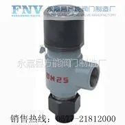 供应A21H-16C弹簧式螺纹安全阀