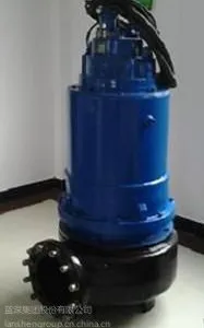 �Ͼ������ҵ��ˮ������WQ100-35-22����ˮһ��������