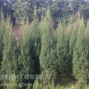���깩Ӧ��ӣ3������ӣ�۸�5������ӣ�۸�8������ӣ�۸�10������ӣ�۸�ӣ���ϳ���ӣ������˦��