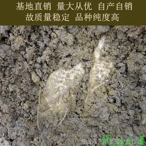 �������ʹ�����������3�� ������ ��¥�� ����ɽ�ز� ����ֱ�� ԰ׯ����