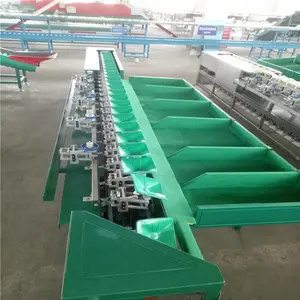 凯祥全自动柠檬分选机