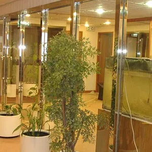 ��Ӧ���ڸ�����������ֲ���������/����ַ����Ŵ�