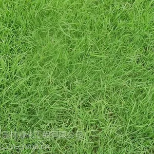 Ȫ���������Ҳ�԰��̬ר�ò��ֱ��¸��̲���