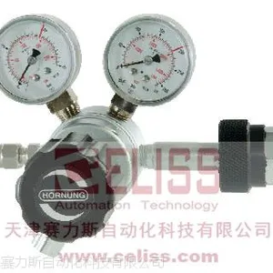 高纯气体德国HORNUNG阀门