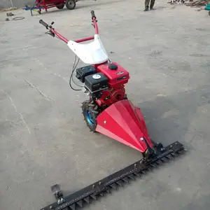 ԰�ּ��ݻ� ����ʽ���ݻ� ������