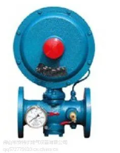 佛山现货供应鑫铭RTZ-31/25Q 燃气减压阀 调压器