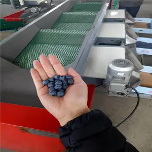 凯祥不伤果粉蓝莓分选机