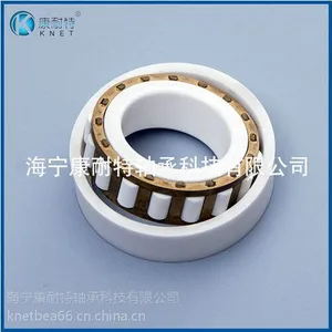 圆柱滚子全陶瓷轴承