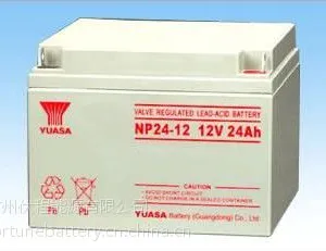 汤浅UPS蓄电池 广州供应12V100AH