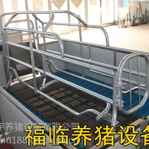 养猪设备母猪产床,自动料线,猪场设计安装图