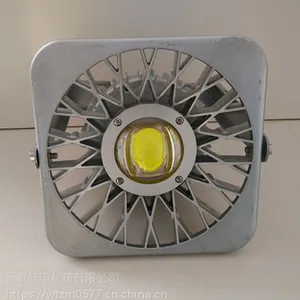 防爆灯50W 60W BAD85 防爆巷道灯 BAD85 防爆巷道灯 防爆吸顶灯