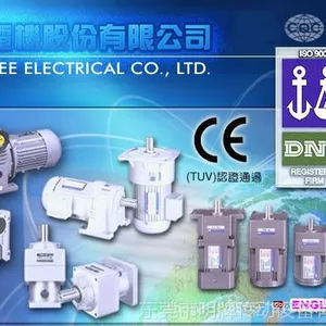 台湾TL东力定速电机5IK40GN-C