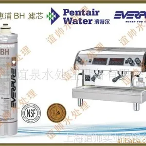 爱惠浦净水器 BH2滤芯 爱惠浦净水器