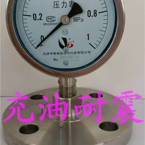 ����������Ĥѹ����DN40������Ĥѹ����YTNP100MF�����Ĥ��