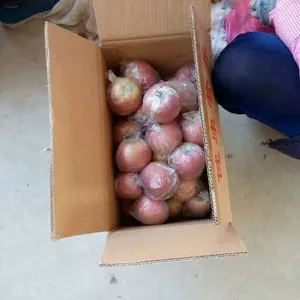 陕西红富士苹果***格,红富士苹果价格