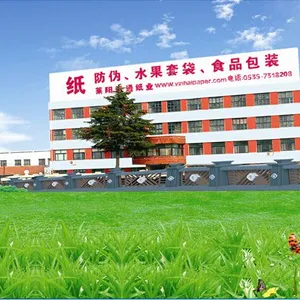 莱阳银通纸业有限公司