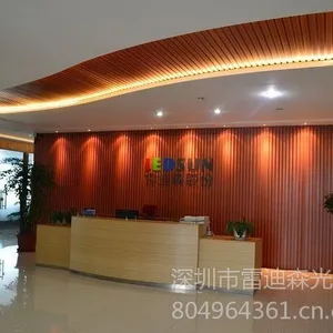 深圳市雷迪森光电股份有限公司
