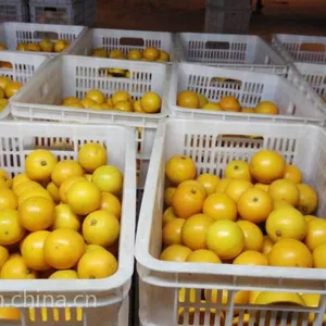 ���ں������˱��ǳȴ���������1.3-1.6Ԫ/��