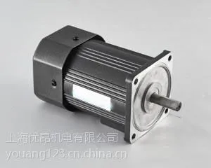供应输送机械用微型减速电机2IK6GN-C,上海微型调速马达,减速电机工厂直销