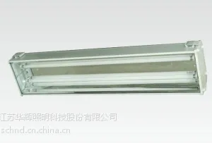 供应华辉照明荧光隧道灯HTG208系列