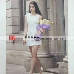 雷索思15年春款女装诚招***商***代销