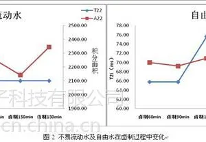 牛肉测试实验