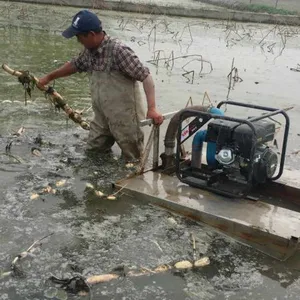 ��ź�� ��ź�� 190���ͻ���ź�� ������ź�� ������ź��