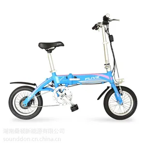 ���/FLIVE�綯�� ﮵�����г����� �������36V14��ʱ�е綯������ �ŵ�