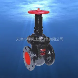 ��ӦTVT  DN50  Z41T-10  ����բ��