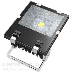 100W LED投光灯 - TG100S系列