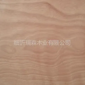 供应杨木红面15mm包装板