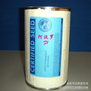 特色蔬菜良种原装进口芦笋种子454克未拆封种子阿波罗芦笋种子