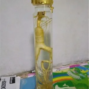人参酒瓶玻璃瓶