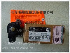 ACTUATOR执行器4902905矿用岩斗型TR50自卸车专用