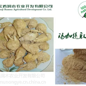 宝鸡润木 供应 玛咖提取物 10:1 玛卡粉